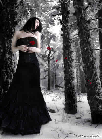 DOUCE PROMENADE